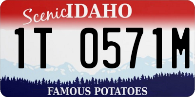ID license plate 1T0571M