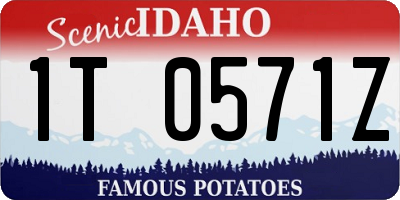 ID license plate 1T0571Z