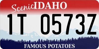 ID license plate 1T0573Z