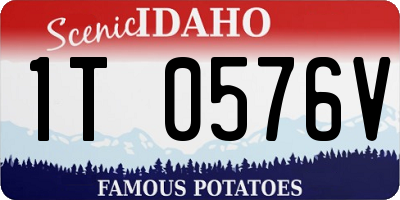 ID license plate 1T0576V