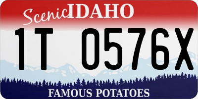 ID license plate 1T0576X