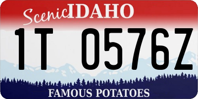 ID license plate 1T0576Z