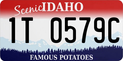 ID license plate 1T0579C