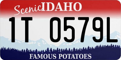 ID license plate 1T0579L