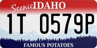 ID license plate 1T0579P