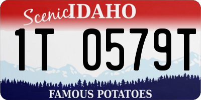 ID license plate 1T0579T