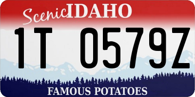 ID license plate 1T0579Z