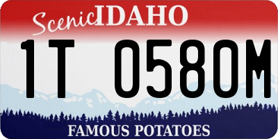 ID license plate 1T0580M