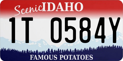 ID license plate 1T0584Y