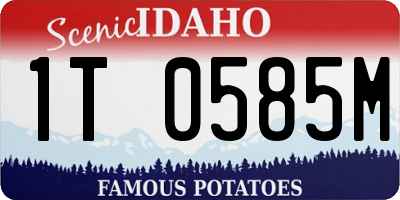 ID license plate 1T0585M