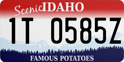 ID license plate 1T0585Z