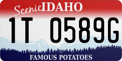 ID license plate 1T0589G