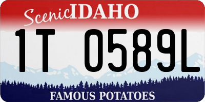 ID license plate 1T0589L