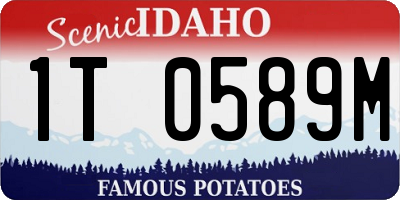 ID license plate 1T0589M