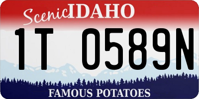 ID license plate 1T0589N