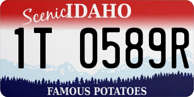 ID license plate 1T0589R