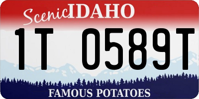 ID license plate 1T0589T