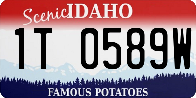 ID license plate 1T0589W