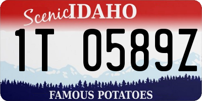 ID license plate 1T0589Z