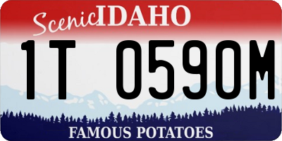 ID license plate 1T0590M