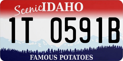 ID license plate 1T0591B