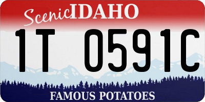 ID license plate 1T0591C