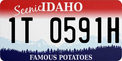 ID license plate 1T0591H