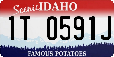 ID license plate 1T0591J