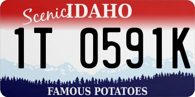 ID license plate 1T0591K
