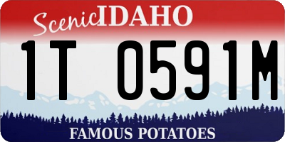 ID license plate 1T0591M