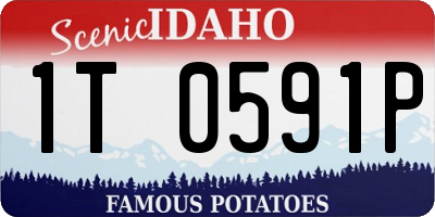 ID license plate 1T0591P