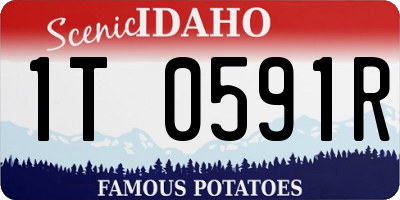 ID license plate 1T0591R