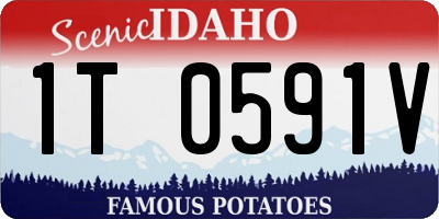 ID license plate 1T0591V