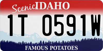 ID license plate 1T0591W