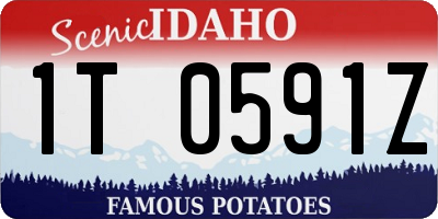 ID license plate 1T0591Z
