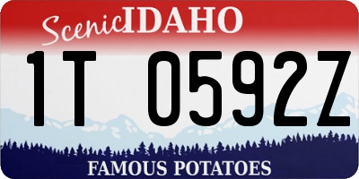 ID license plate 1T0592Z