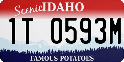 ID license plate 1T0593M