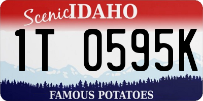 ID license plate 1T0595K