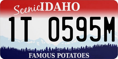 ID license plate 1T0595M