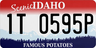 ID license plate 1T0595P