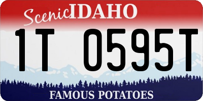 ID license plate 1T0595T