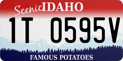 ID license plate 1T0595V