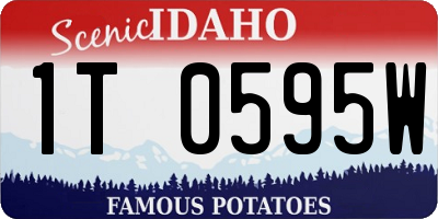 ID license plate 1T0595W