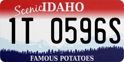 ID license plate 1T0596S