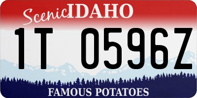 ID license plate 1T0596Z