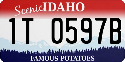 ID license plate 1T0597B