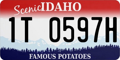ID license plate 1T0597H