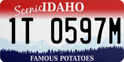 ID license plate 1T0597M