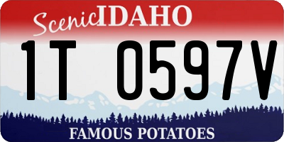 ID license plate 1T0597V