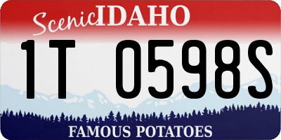 ID license plate 1T0598S